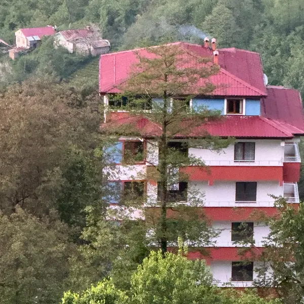 Pendik i̇nşaat ve yapı hizmetleri — Yeşil alan içinde tamamlanmış çok katlı bina